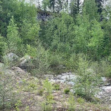 Campeggio Boreal Rockview Retreat Joensuu
